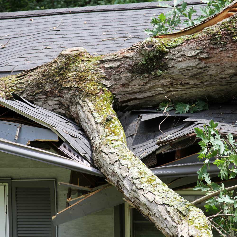 disaster restoration Central Scotland