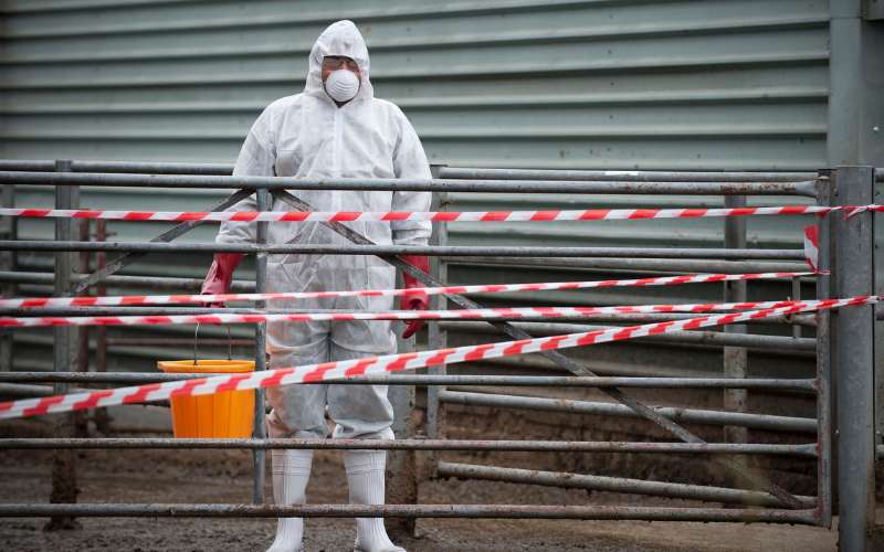 bio hazard clean up Central Scotland